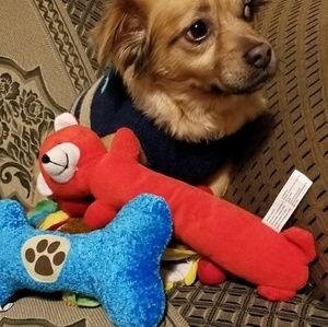 Meet your Posher, Maria